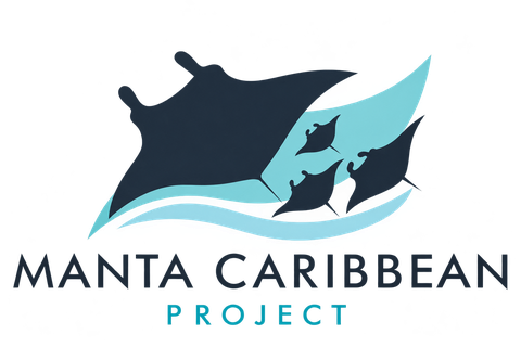 Manta Caribbean