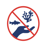 No Llevarse Organismos