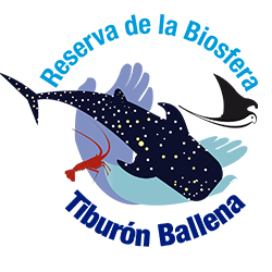 Reserva Tiburón Ballena